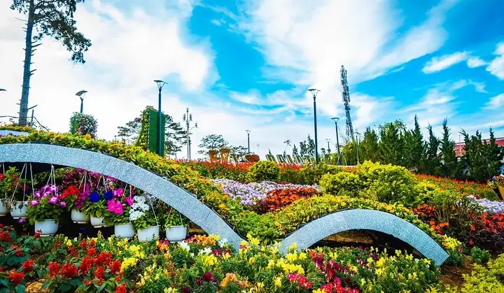 Những Trải Nghiệm Thú Vị Khi Đến Vườn Hoa Đà Lạt