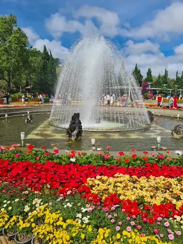 Những Trải Nghiệm Thú Vị Khi Đến Vườn Hoa Đà Lạt