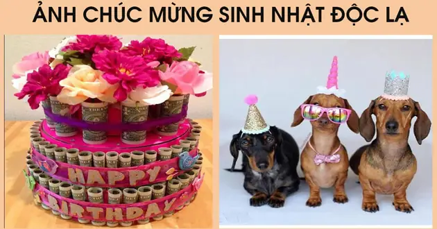 Hình Ảnh Chúc Mừng Sinh Nhật Cho Nam Giới Thường Có Những Đặc Điểm Gì? Hình Ảnh Chúc Mừng Sinh Nhật Cho Nam Giới Thường Có Những Đặc Điểm Gì?