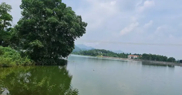 Đất Hồ Cầu Bãi, Phúc Xuân Xã Bắc Sơn, Sóc Sơn. Giá 9triệu/m2 Đất Hồ Cầu Bãi, Phúc Xuân Xã Bắc Sơn, Sóc Sơn. Giá 9triệu/m2