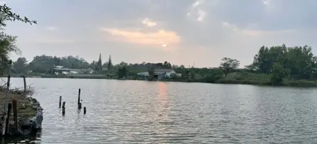 Hồ Nam Phương Bảo Lộc Có Gì? Cẩm Nang Du Lịch A-z 2026
