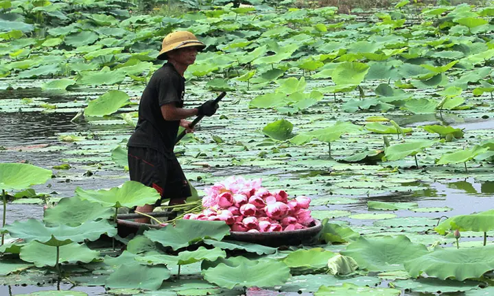 Vòng Hồ Tây Bao Nhiêu Km?