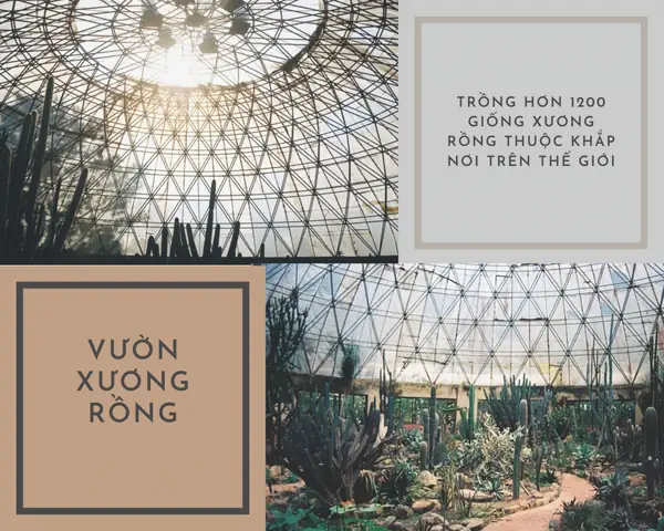 Một Số Điểm Tham Quan Khác Tại Vườn Quốc Gia Ba Vì