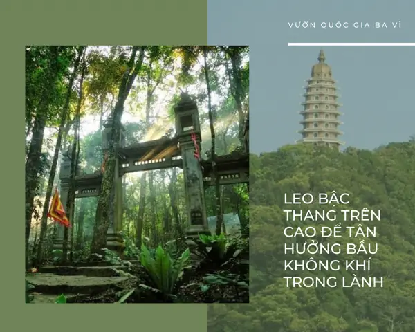 – Đền Thượng: