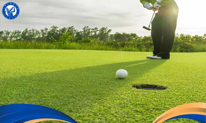 Học Đánh Golf Ở Hcm 1 Buổi Demo Free Với Gậy Golf Cao Cấp
