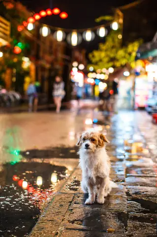 Hoi An At Night