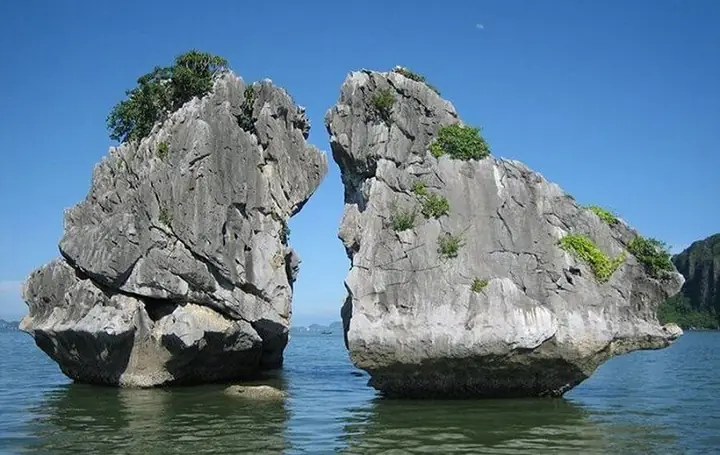 Giới Thiệu Đôi Nét Về Hòn Gà Chọi Giới Thiệu Đôi Nét Về Hòn Gà Chọi