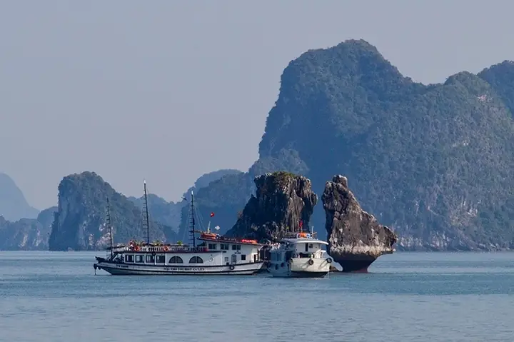 Từ Cảng Tàu Ra Hòn Gà Chọi Từ Cảng Tàu Ra Hòn Gà Chọi