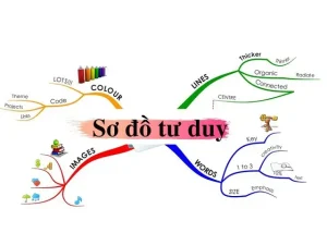 Cách Tạo Sơ Đồ Tư Duy, Phương Thức Ghi Nhớ Sáng Tạo Hiệu Quả