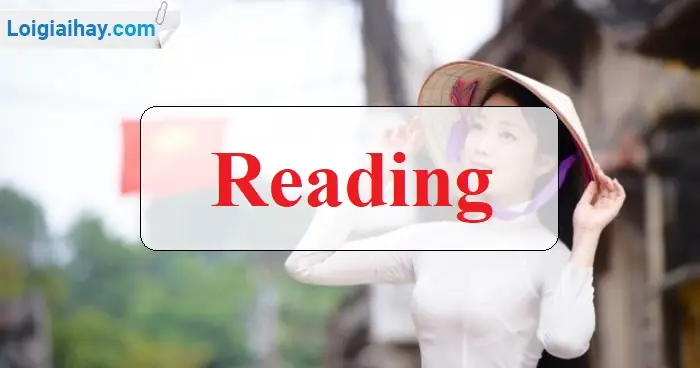 Giải Reading - Trang 21 Unit 3 Vbt Tiếng Anh 8 Mới