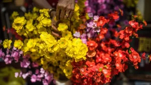 Top 10 Festivals & Holidays In Vietnam | Vietnam Tourism