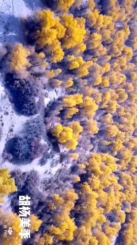 Khách Sạn Giá Rẻ Gần Bãi Rạng, Núi Thành | Trip.com