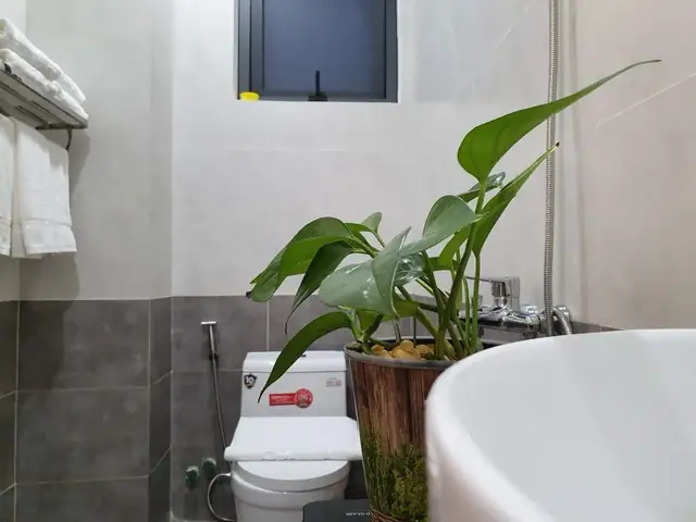 Lưu Ý Về Đặt Phòng Và Thời Điểm Lý Tưởng Lưu Ý Về Đặt Phòng Và Thời Điểm Lý Tưởng