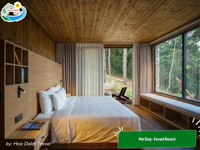 15. Mơ Stay – Forest Resort