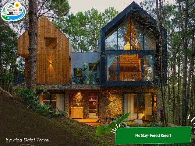 15. Mơ Stay – Forest Resort