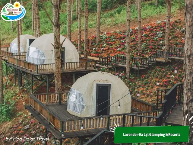 11. Lavender Đà Lạt Glamping & Resorts