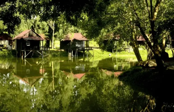 Ở Khu Du Lịch Sinh Thái Cao Minh Có Những Gì?