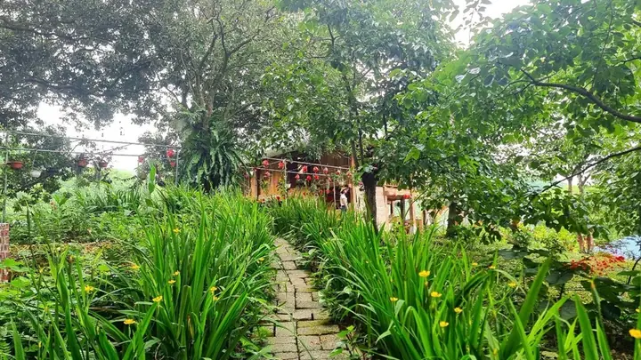 Khu Du Lịch Sinh Thái Homestay Hải Đăng – Điểm “đi Trốn” Mới Hấp Dẫn Tại Thái Nguyên Khu Du Lịch Sinh Thái Homestay Hải Đăng – Điểm “đi Trốn” Mới Hấp Dẫn Tại Thái Nguyên
