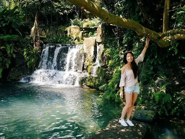 Khám Phá Thiên Nhiên Rừng Cây, Thác Nước