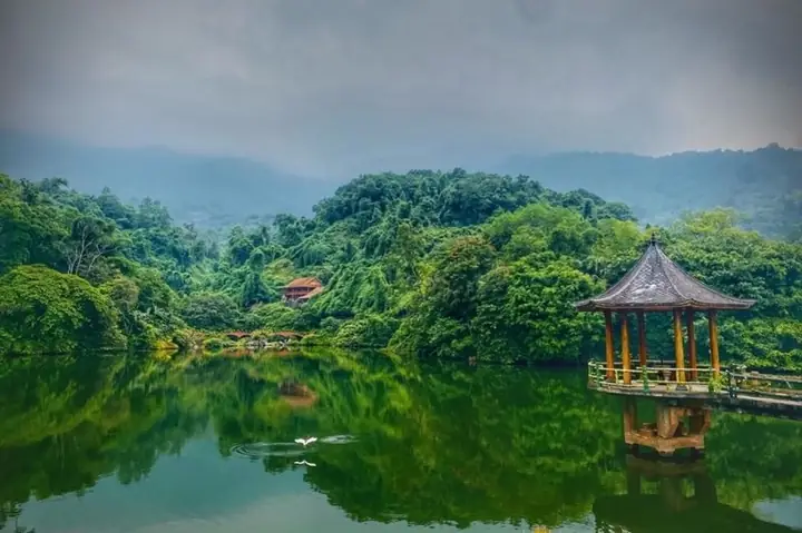 Medi Thiên Sơn