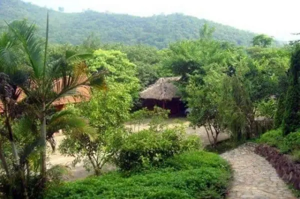 Bỏ Túi Kinh Nghiệm Du Lịch Khu Sinh Thái Cọ Xanh Đông Anh Ngày ...