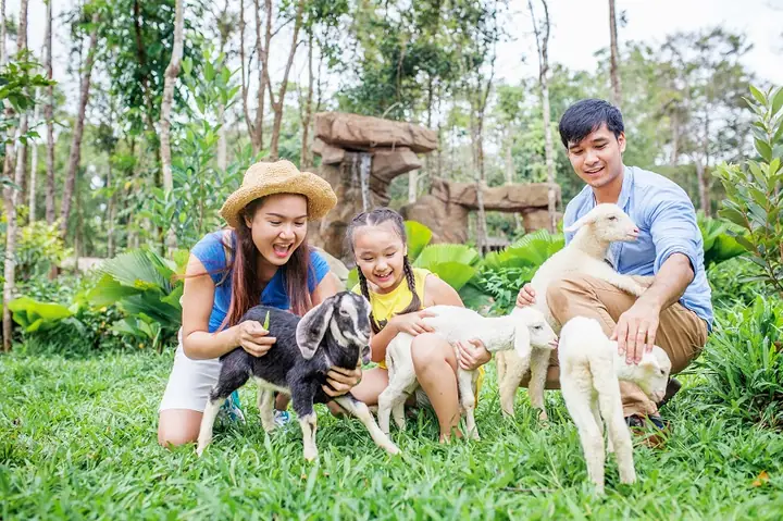 Vinpearl Safari Phú Quốc Vinpearl Safari Phú Quốc