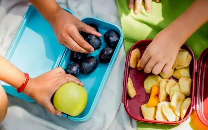 Một Số Mẹo Để Trẻ Có Chuyến Đi Vui Chơi An Toàn