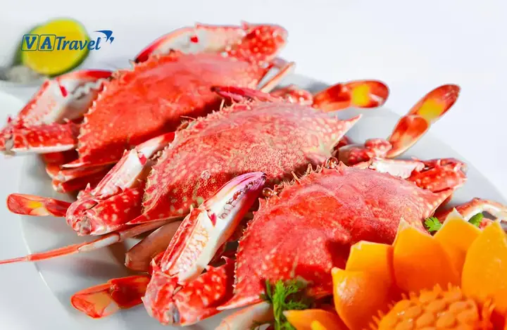 Những Quán Ăn Ngon Ở Sầm Sơn Dành Cho Mọi Du Khách Những Quán Ăn Ngon Ở Sầm Sơn Dành Cho Mọi Du Khách
