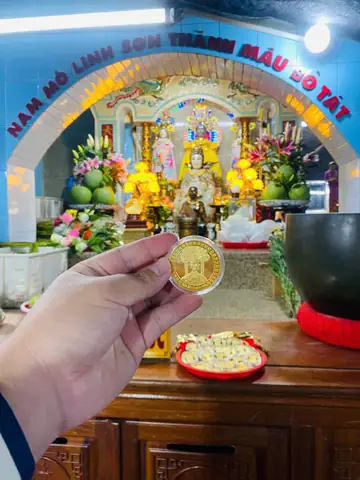 Đi Đỉnh Núi Bà Đen Hay Chùa Bà Tây Ninh Trước?