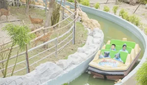 Khám Phá Công Viên Thiên Đường Bảo Sơn