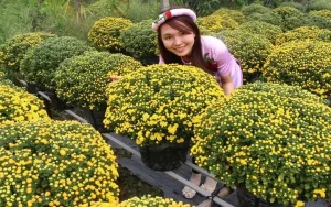 Làng Nghề Truyền Thống Ở Cần Thơ