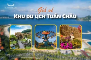 Cập Nhật Giá Vé Khu Du Lịch Tuần Châu Mới Nhất Năm 2025