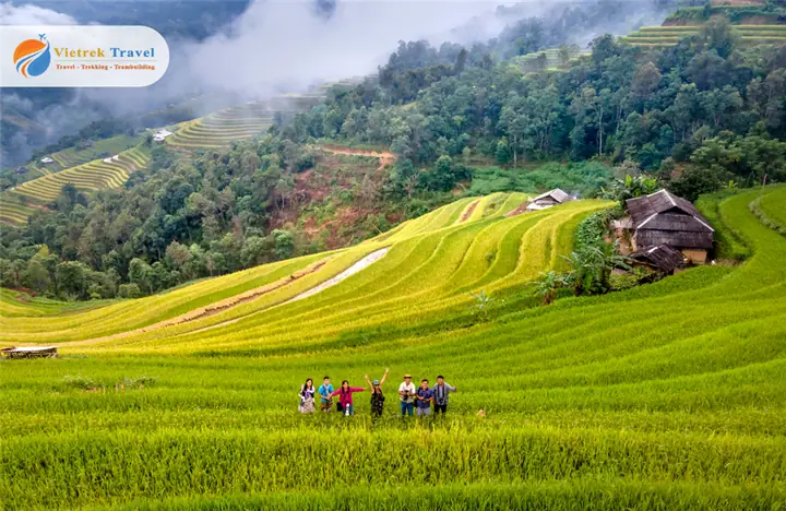 Du Lịch Miệt Vườn