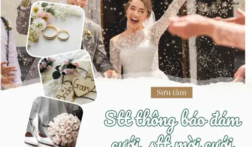 Stt Thông Báo Đám Cưới, Stt Mời Cưới Hay, Lịch Sự, Sang Trọng