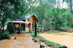 Ma Rừng Lữ Quán Đà Lạt - Liệu Có ''ma Mị'' Như Lời Đồn