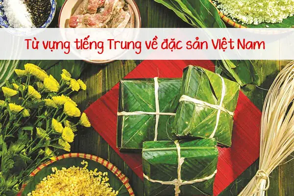Từ Vựng Tiếng Trung Về Đặc Sản Việt Nam Từ Vựng Tiếng Trung Về Đặc Sản Việt Nam