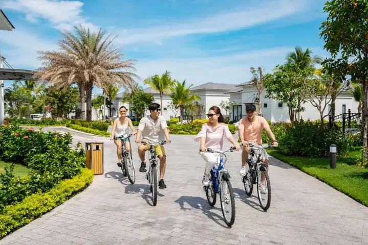 Thủ Tục Mang Thú Cưng Đi Máy Bay - Vidi Thủ Tục Mang Thú Cưng Đi Máy Bay - Vidi