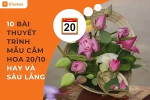 10 Mẫu Bài Thuyết Trình Cắm Hoa 20/10 Hay Và Sâu Lắng