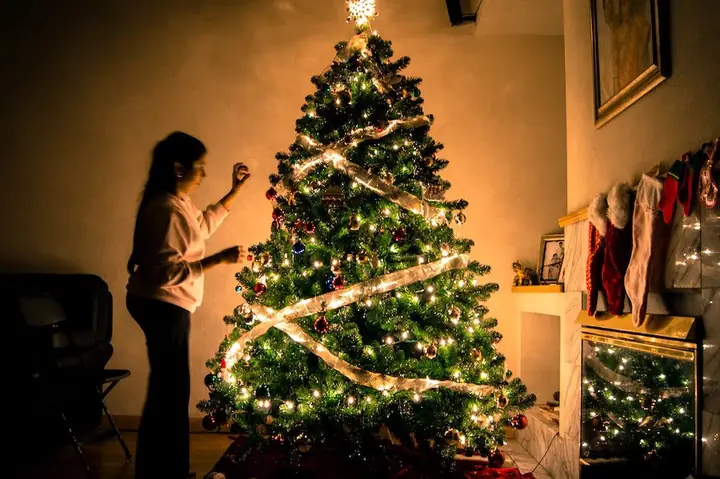 Cây Thông Noel