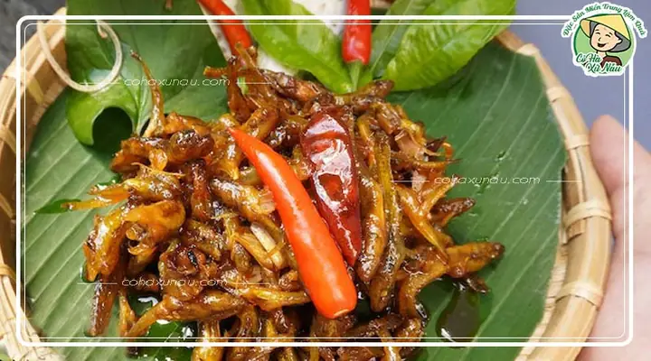 Cá Bống Sông Trà