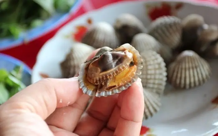 Các Món Ăn Vặt Ngon Ở Tuy Hòa – Phú Yên