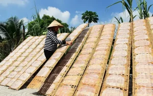 Top Địa Chỉ Mua Bánh Tráng Phơi Sương Tây Ninh Làm Quà Tặng ...