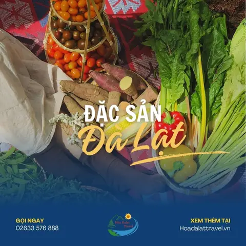 15 Đặc Sản Đà Lạt Mua Làm Quà Ngon Nổi Tiếng Chất Lượng 2025
