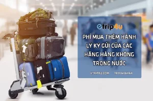 Phí Mua Thêm Hành Lý Ký Gửi Của Các Hãng Hàng Không