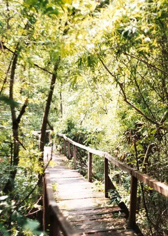 The 10 Best Cat Tien National Park Tours & Excursions (2026) The 10 Best Cat Tien National Park Tours & Excursions (2026)
