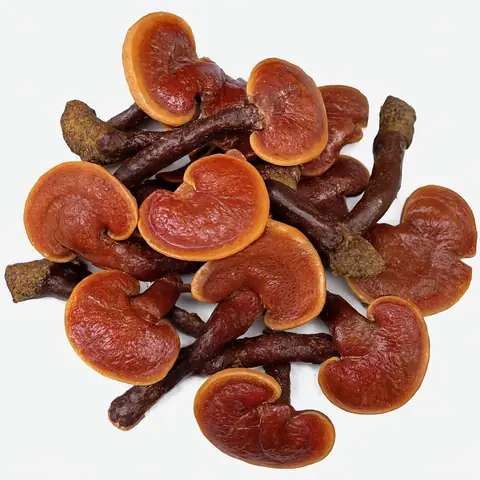 Nấm Lim Xanh Có Tác Dụng Gì?