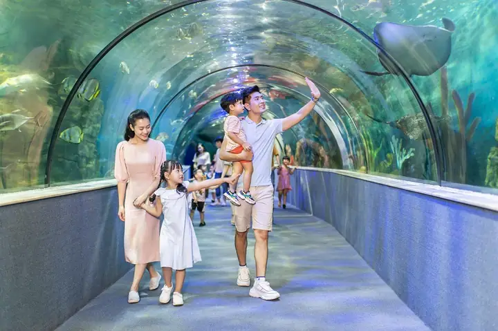 Tới Hà Nội, Trải Nghiệm Mùa Lãng Mạn Nhất Năm Tới Hà Nội, Trải Nghiệm Mùa Lãng Mạn Nhất Năm