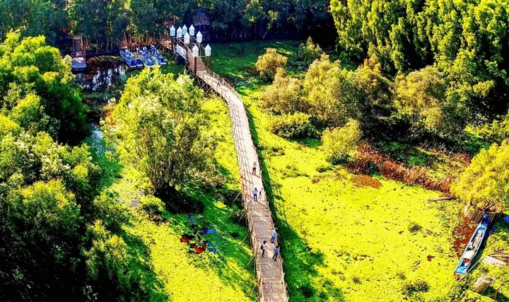 Du Lịch An Giang Thăm Rừng Tràm Trà Sư Du Lịch An Giang Thăm Rừng Tràm Trà Sư