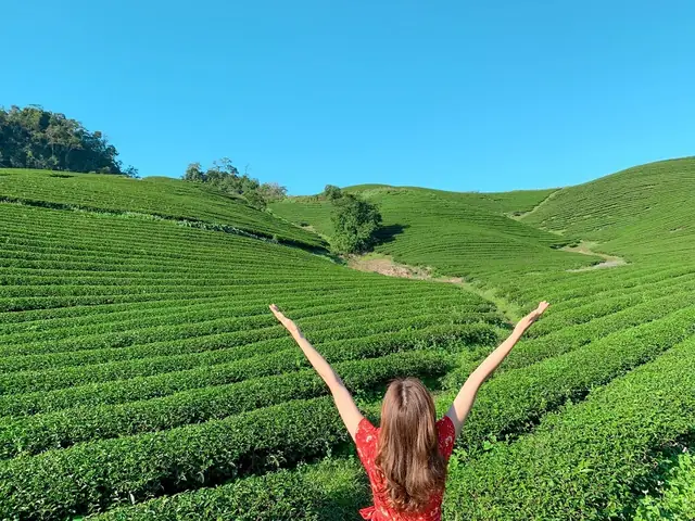 Tháng 9 Nên Đi Du Lịch Ở Đâu? Đồi Chè Mộc Châu Xanh Mướt Tháng 9 Nên Đi Du Lịch Ở Đâu? Đồi Chè Mộc Châu Xanh Mướt