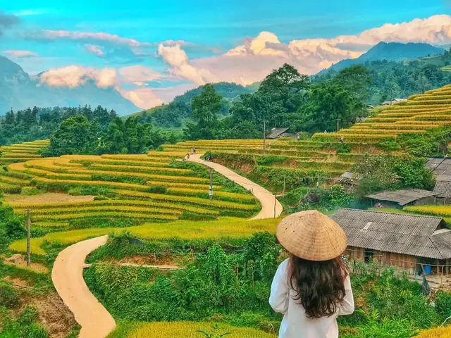 Du Lịch Sapa, Check-in Ruộng Bậc Thang Chín Vàng